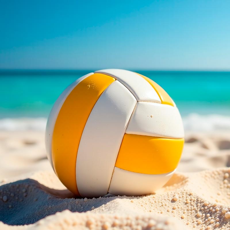volley-img